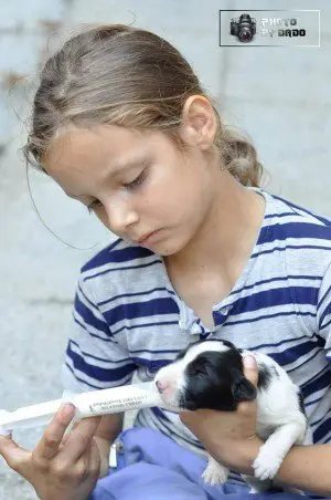 Döntősök Nyereményjáték: Ahmet Cari Cabric