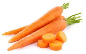 carrot